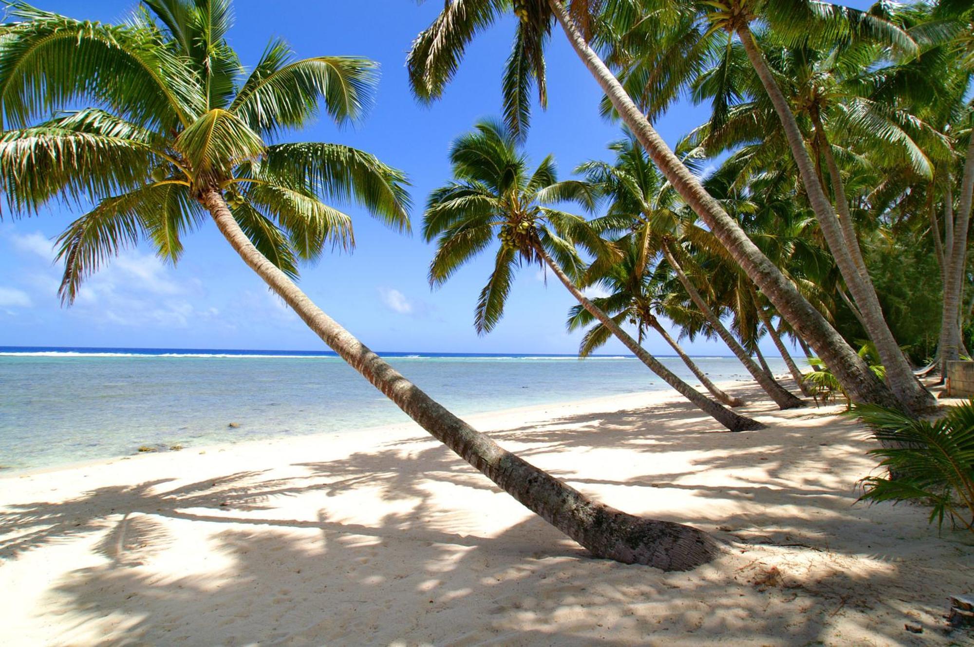 Sunhaven Beach Bungalows (Adults Only) Rarotonga Dış mekan fotoğraf