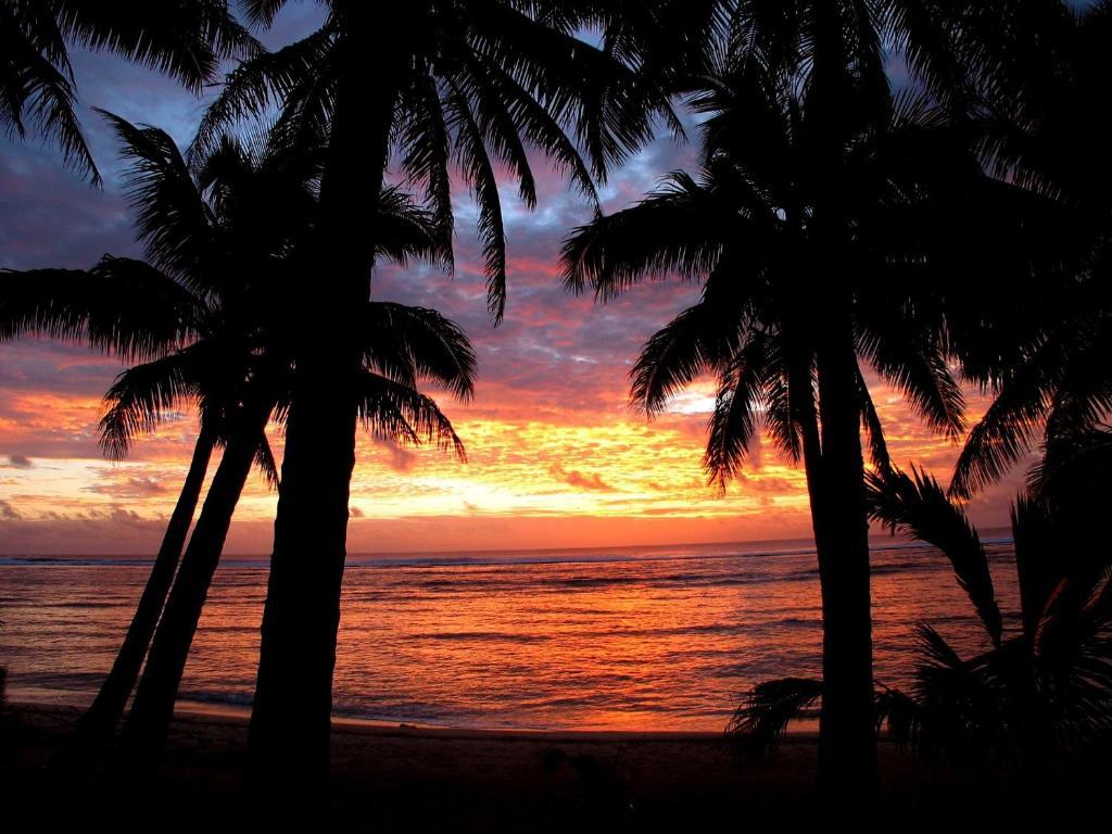 Sunhaven Beach Bungalows (Adults Only) Rarotonga Dış mekan fotoğraf