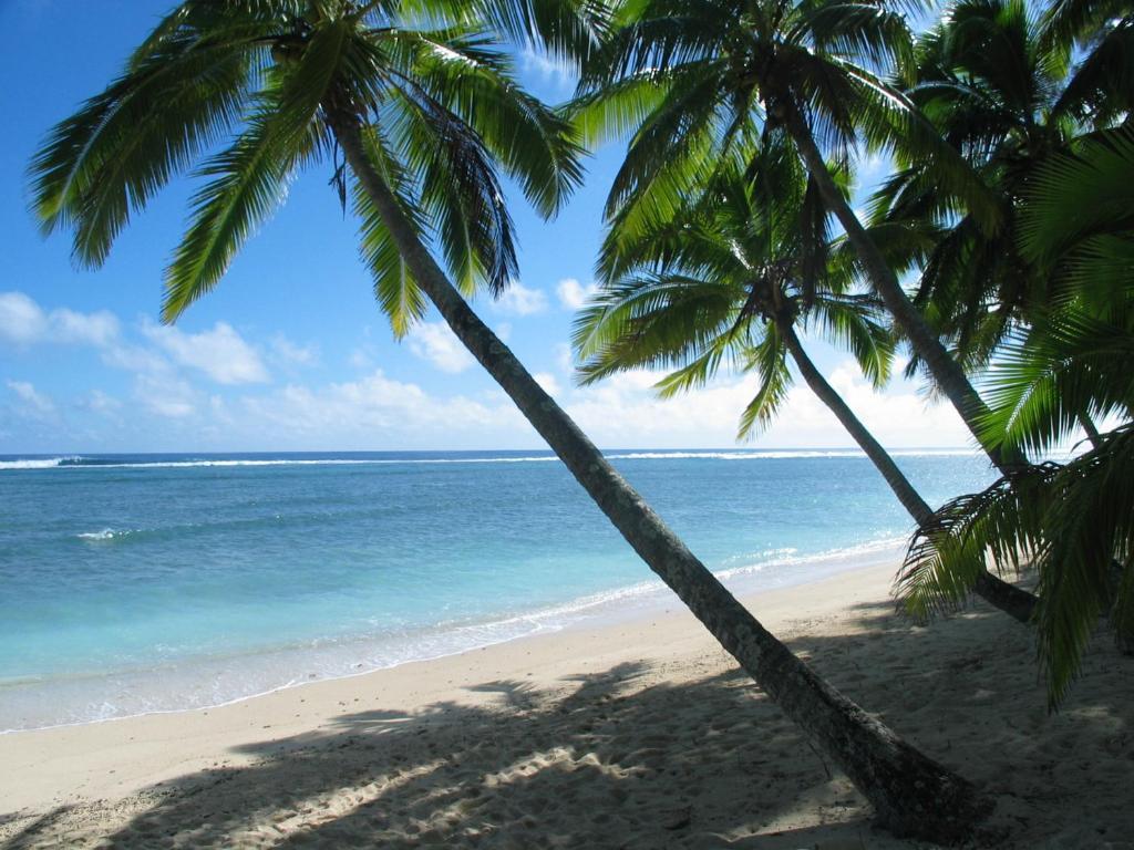 Sunhaven Beach Bungalows (Adults Only) Rarotonga Dış mekan fotoğraf