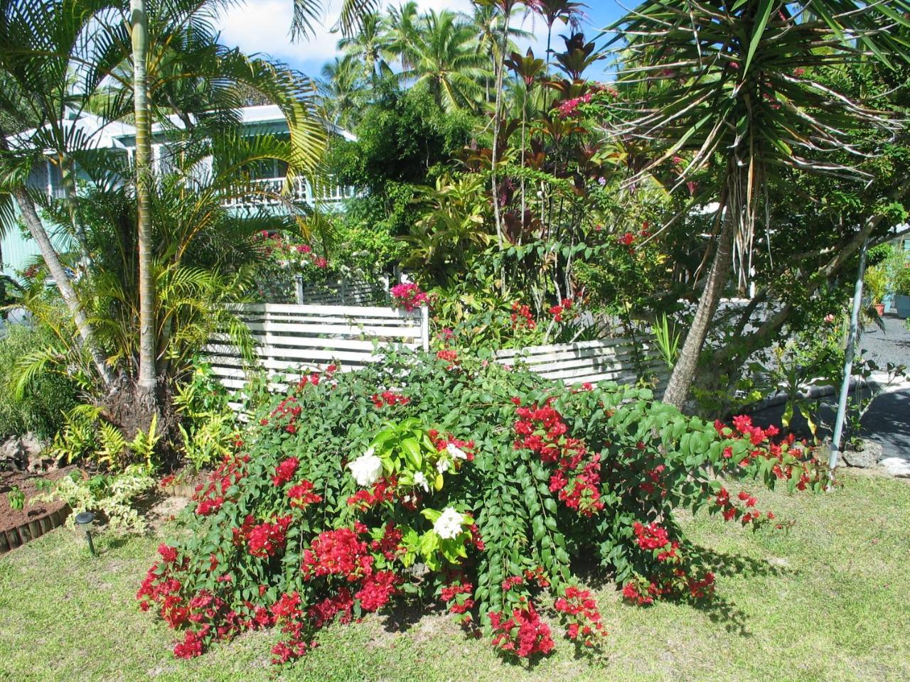 Sunhaven Beach Bungalows (Adults Only) Rarotonga Dış mekan fotoğraf